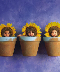 Anne Geddes